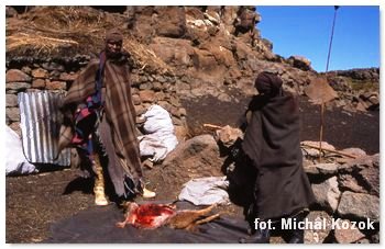 pasterze Basotho przy zabitym szakalu
